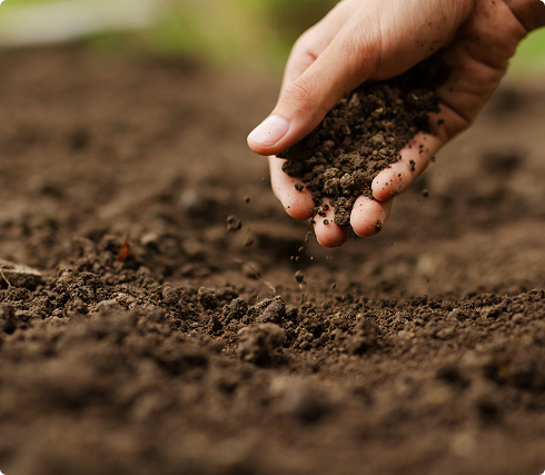 Soil and plant nutrients